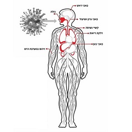וירוס הקורונה – רפואה סינית – דיקור